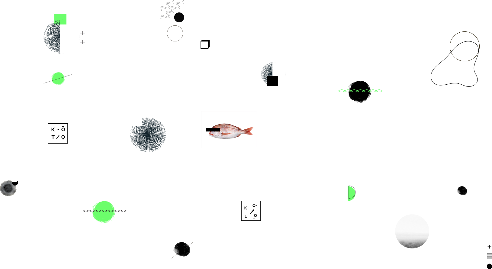 layout showcase