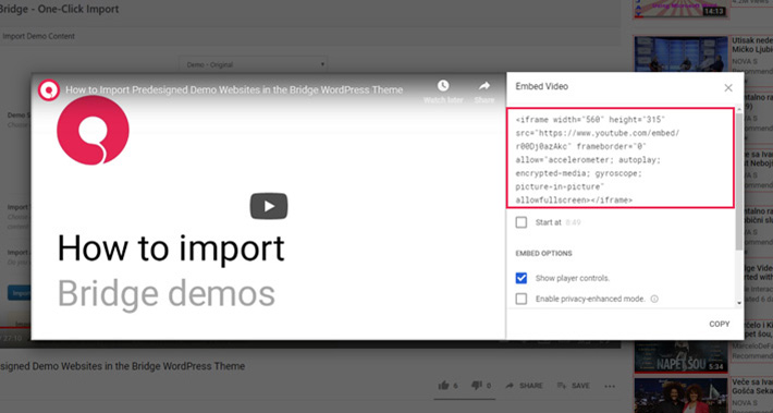 Embed a YouTube Video in WordPress