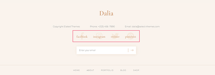 Social Icons in footer