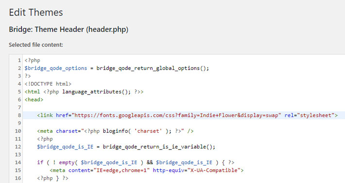 Add the code into your header.php file