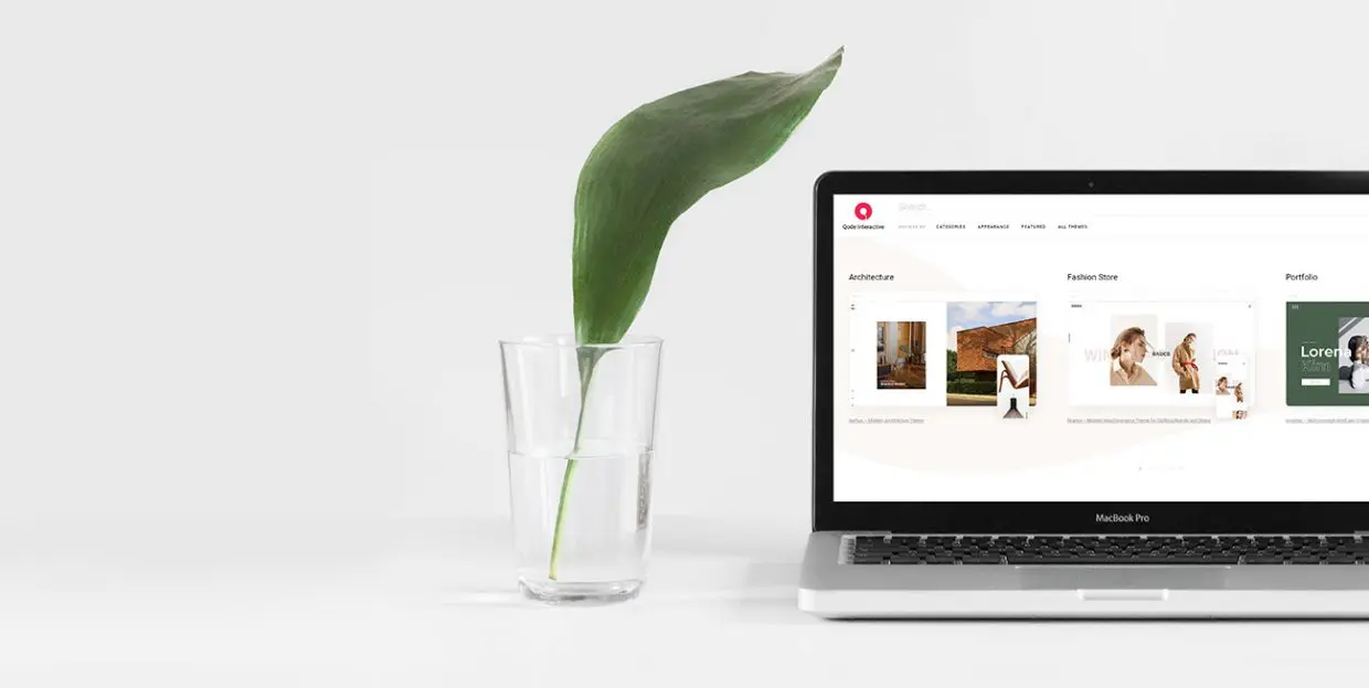What Are WordPress Themes and Why to Use Them - Qode Interactive