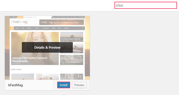 Install WordPress Theme