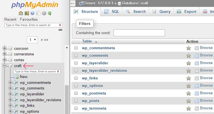 Navigate to your phpMyAdmin-dashboard and select a database