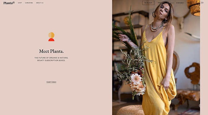 Planta