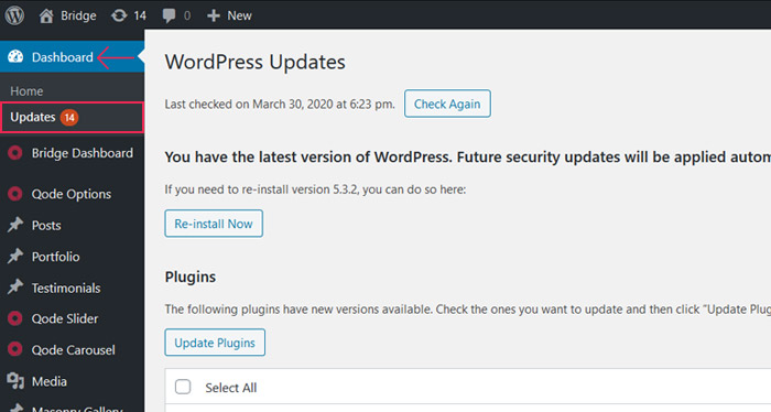 How to Update WordPress Plugins