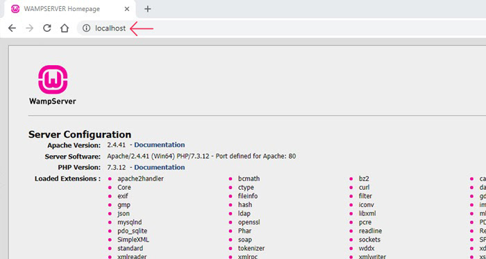 Entering the localhost address into your browser