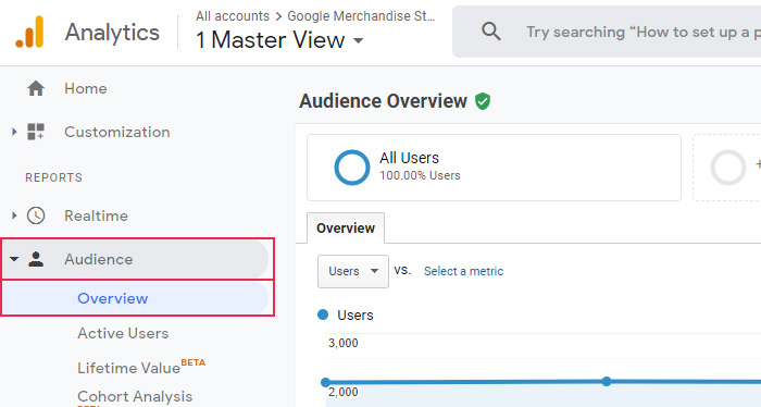 Audience Overview Settings