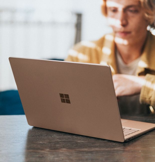 How to Embed a PDF in WordPress list