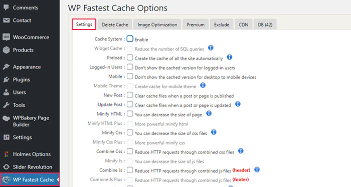 Tick all the options regarding-the-minification-and combining of CSS and JS