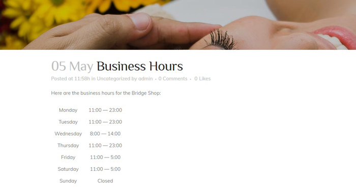 Preview opening hours