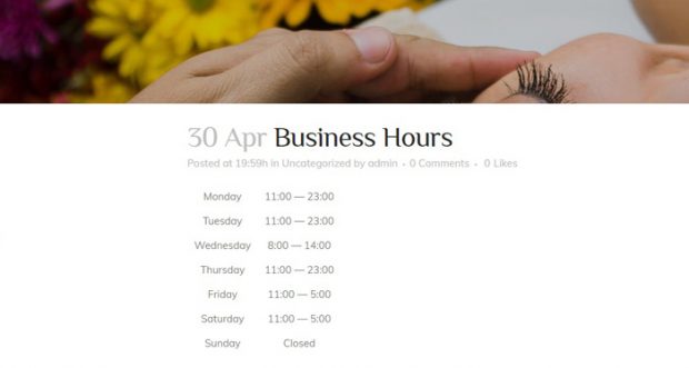 How to Easily Display Your Opening Hours in WordPress - Qode Interactive