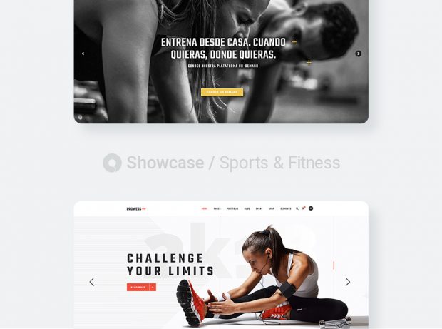 Top 15 Sports and Fitness Websites Made with Qode Themes list