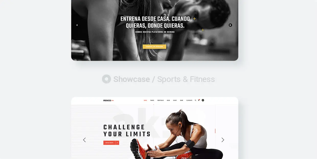 Top 15 Sports and Fitness Websites Made with Qode Themes