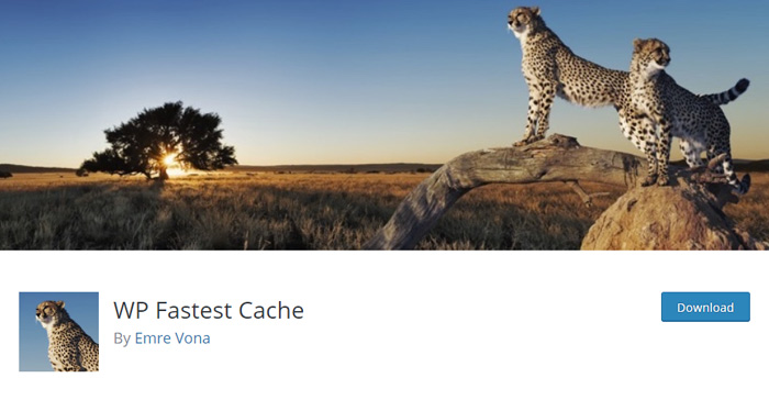 WP Fastest Cache