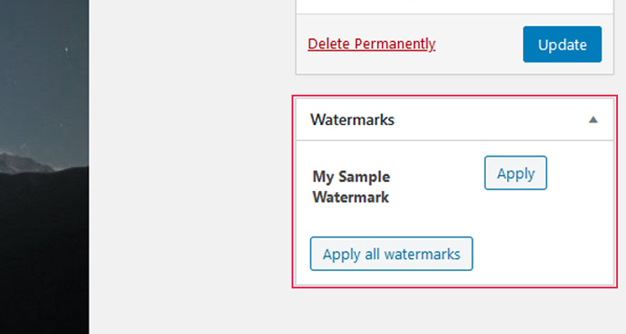Watermark options