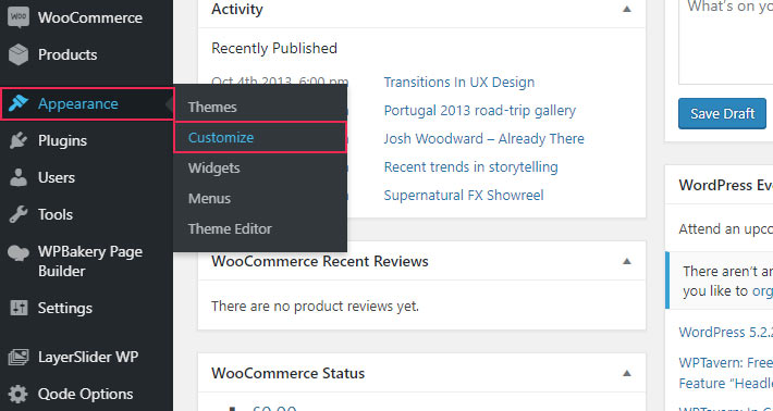 WordPress Customize option