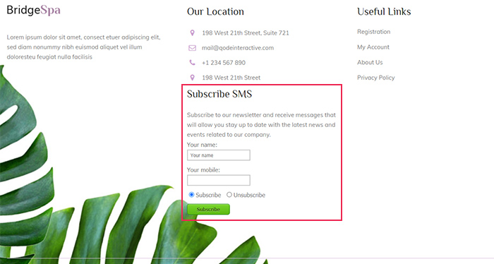 Subscribe SMS Widget Preview