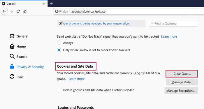 Firefox Clear History