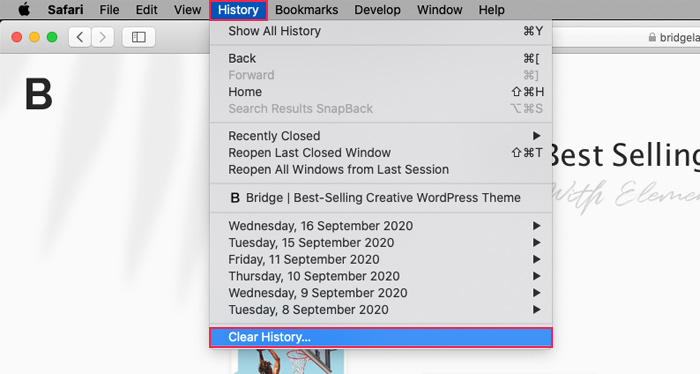 Safari Clear History