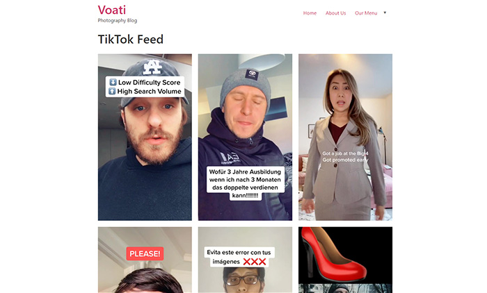 TikTok Feed Preview