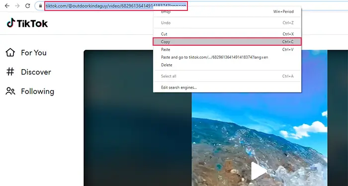 TikTok URL Copy