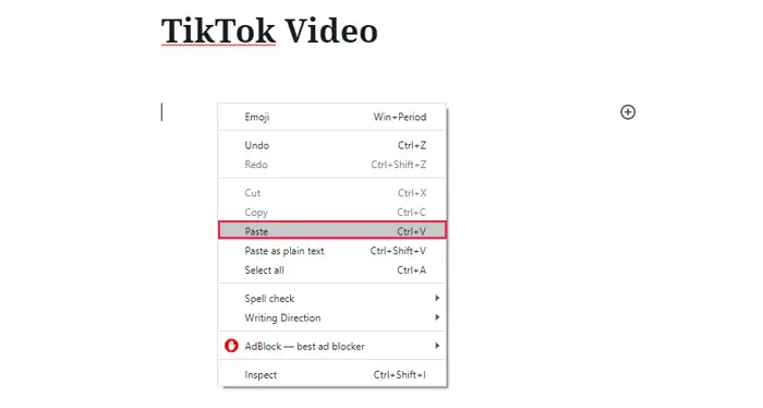 TikTok URL Paste