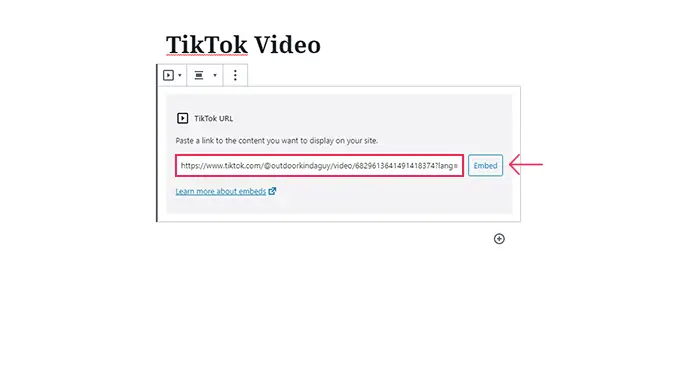 TikTok Video Block URL