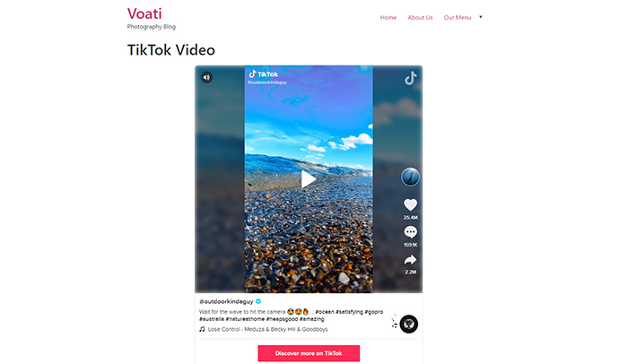 TikTok Video Preview