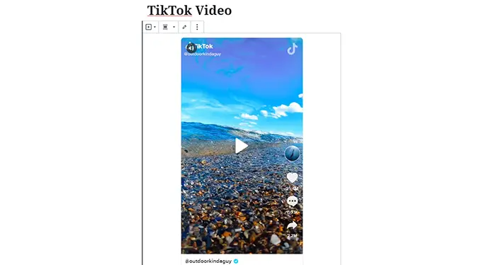 TikTok Video