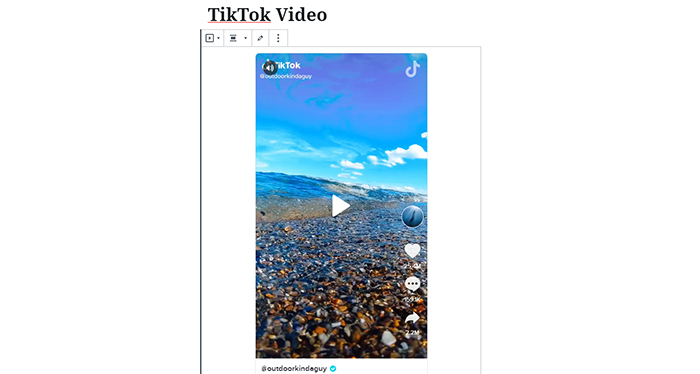 web tik tok viewer