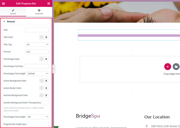 Elementor Progress Bar Settings