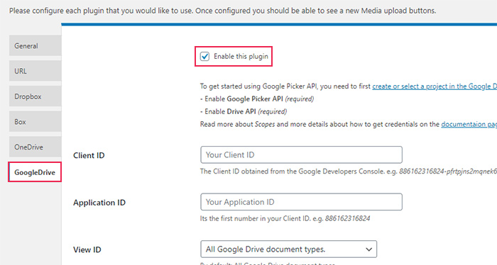 Google Drive Enable