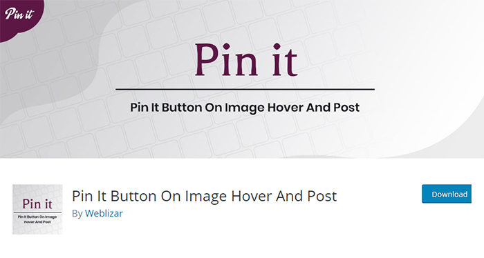 Pin It Button