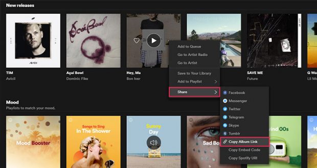 How to Embed Spotify to WordPress - Qode Interactive