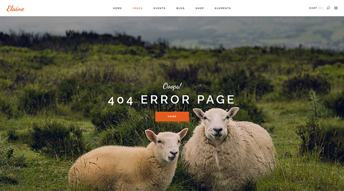 404 Page Elaine