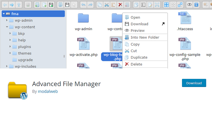 Advanced File Manager