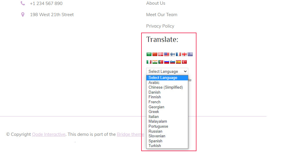 Google Language Translator Widget Preview