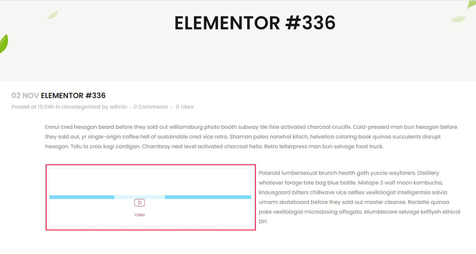 Elementor Video Element