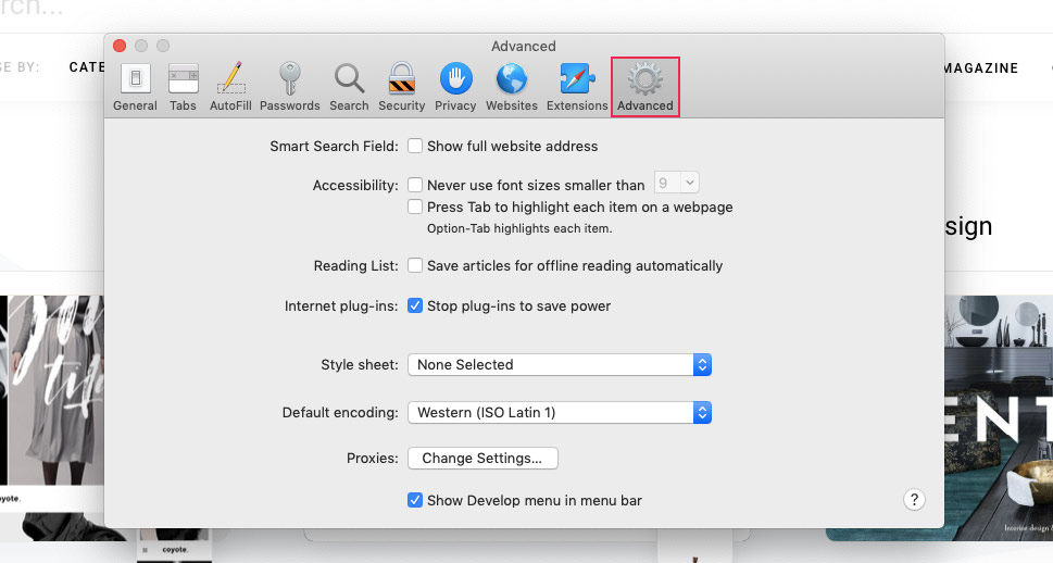 Safari Preferences Advanced