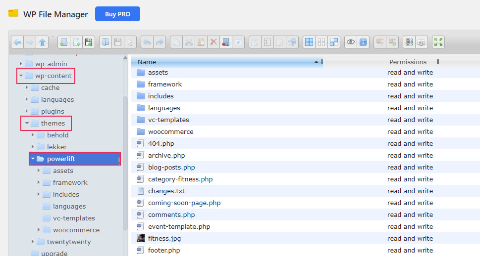 WP File Manager Theme