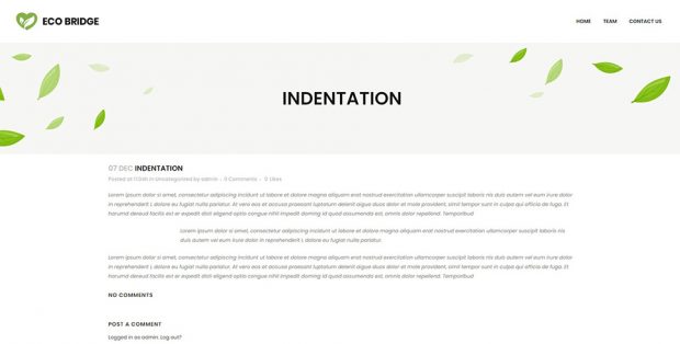 How to Indent Paragraphs in WordPress - Qode Interactive
