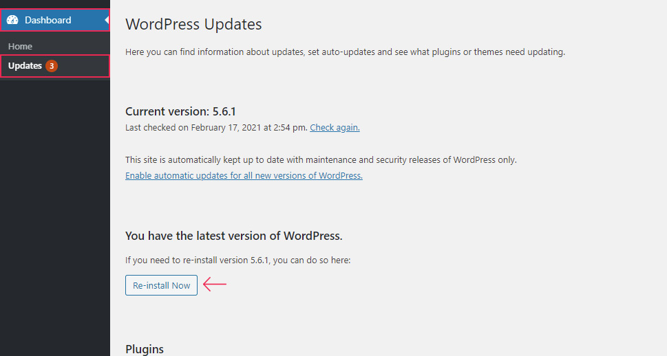 Reinstalling WordPress Updates