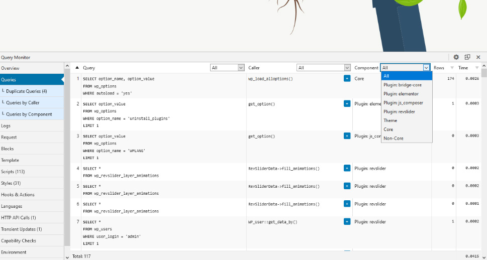 Navigating the Information in Query Monitor