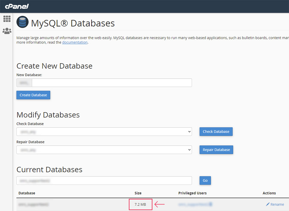 cPanel Disk Usage Size