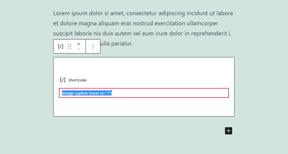 Paste Shortcode