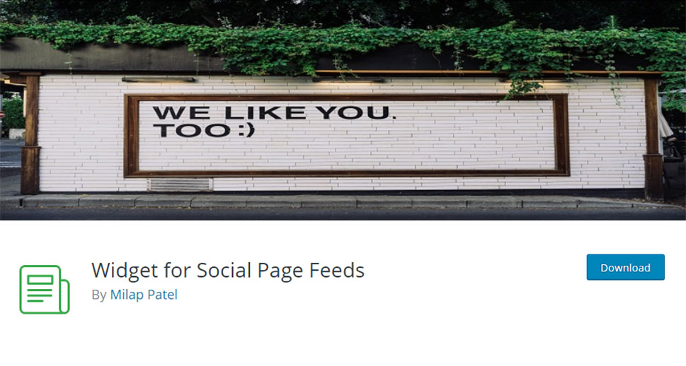 Widget for Social Page Feeds