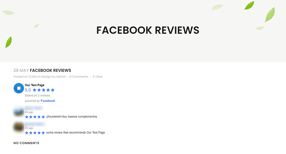 Facebook Reviews Preview