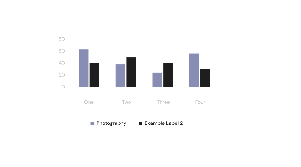 Graphs Bar Item Style