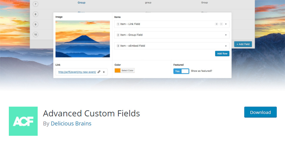 Advanced Custom Fields