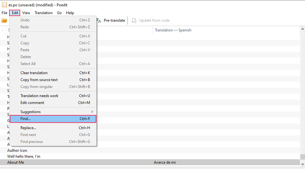 POEDIT Edit Find
